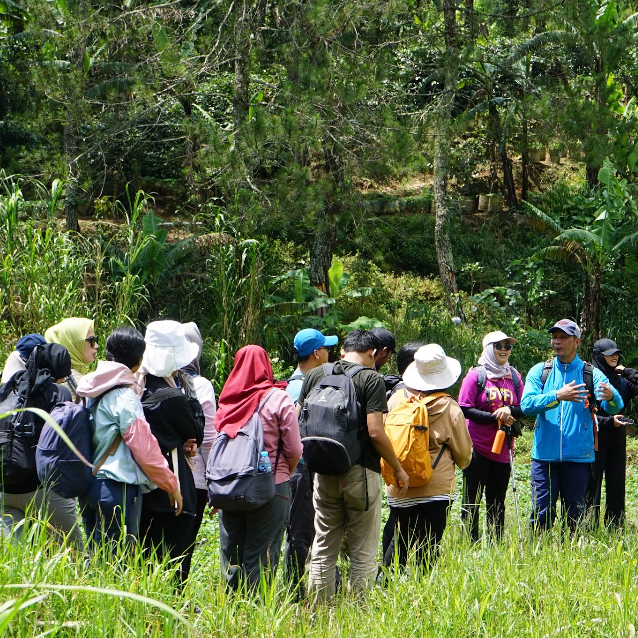 Trekking